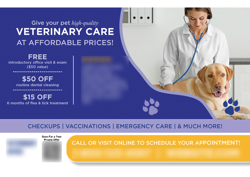 Historical direct-mail campaign artwork: Local Veterinary Clinic Attracts 120 New Patients with OMNI REACH + Postcards